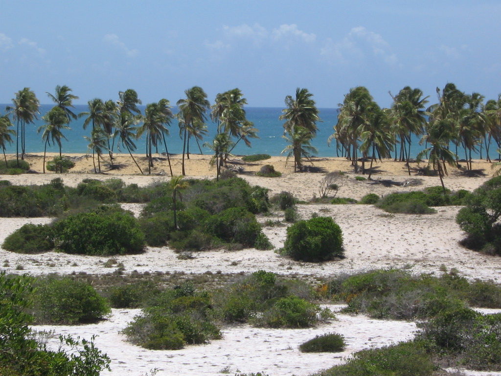 Beach Property Bahia