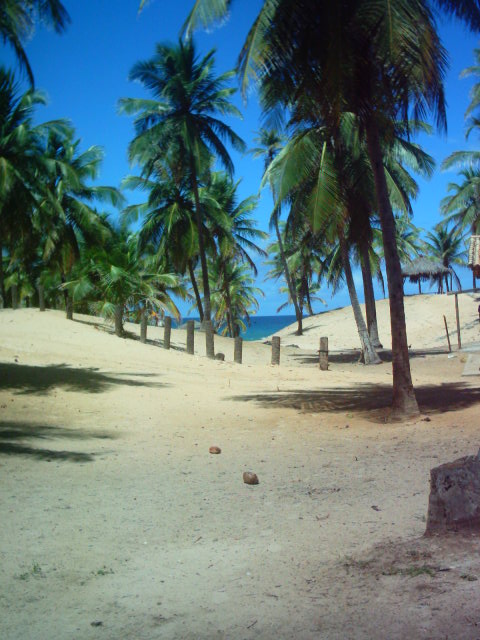 Beach Lot Bahia