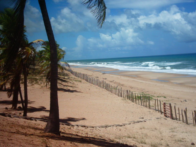 Beach Lot Bahia