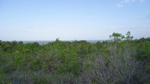 Construction Lot Trancoso