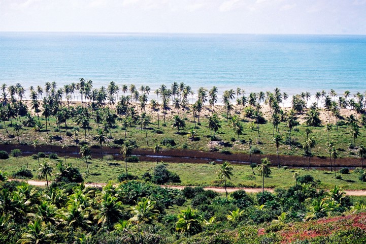Beach Plot of Land Bahia