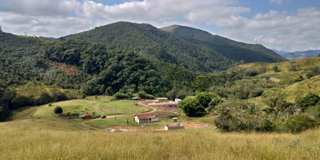 Developed Farm Minas Gerais