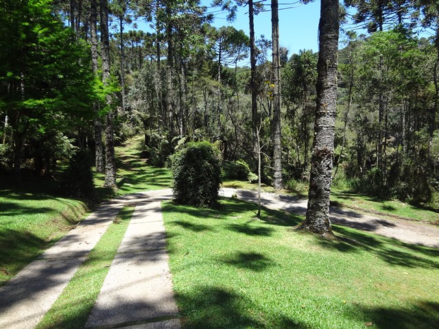 pathway at the estate