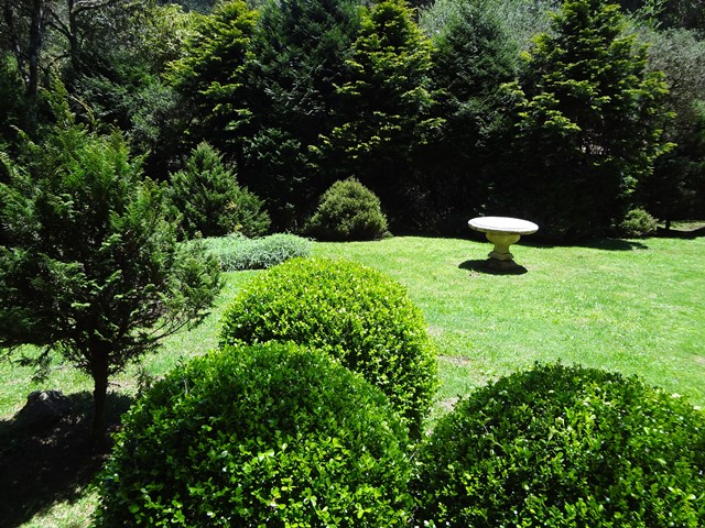 view of the garden Serra da Cantareira