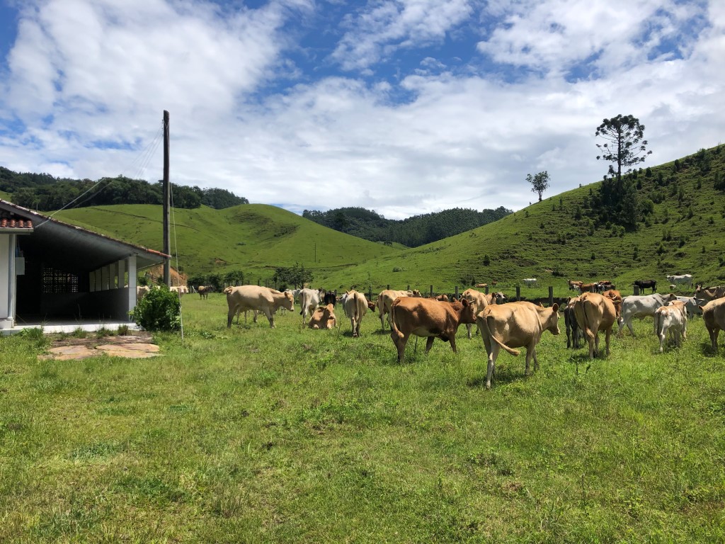 rural property Santa Catarina