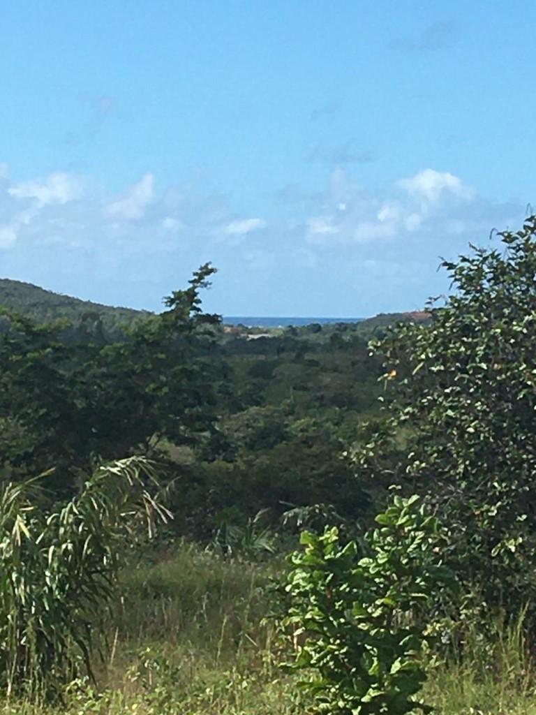 Coastal Area Subaúma