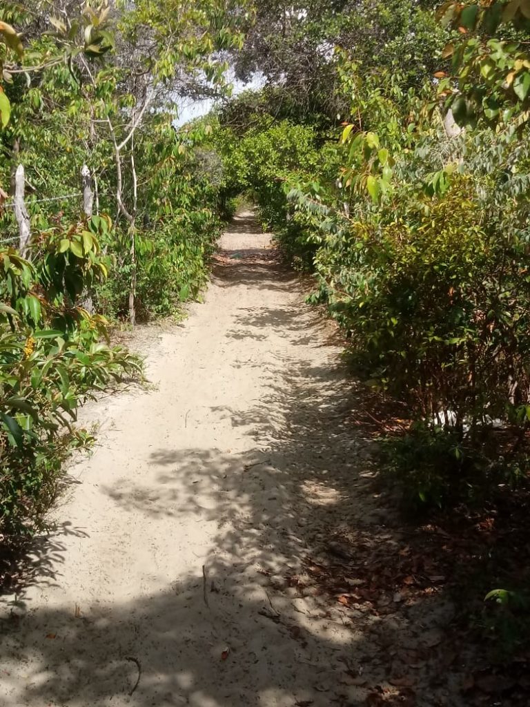 Building Plot Maranhão