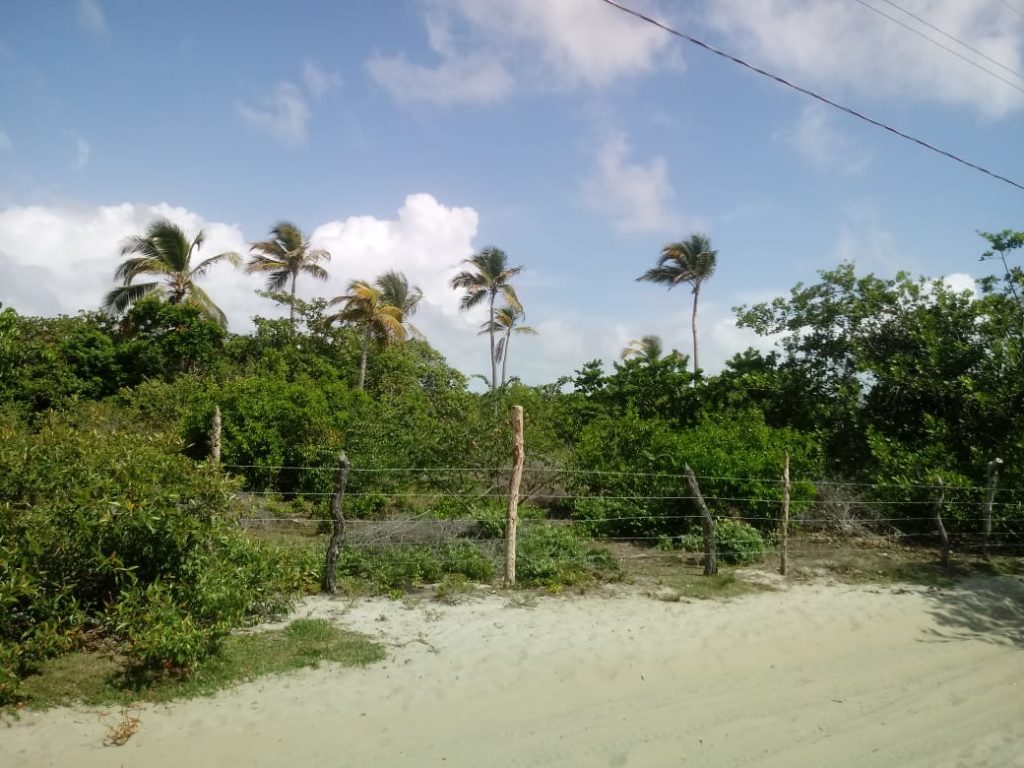 Building Plot Maranhão