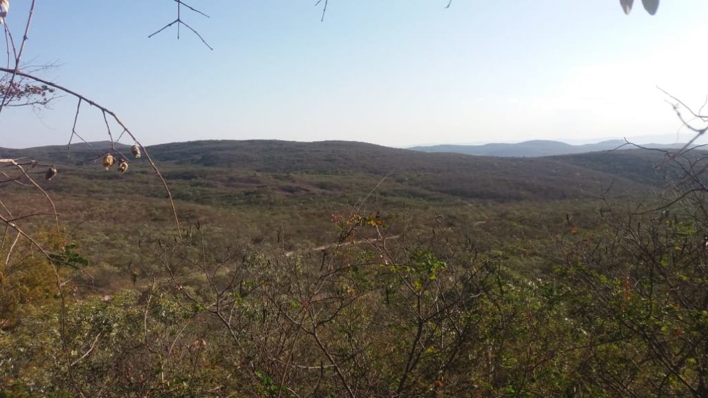 Landplot Bahia Interior