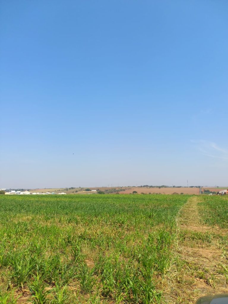 Landplot Campinas