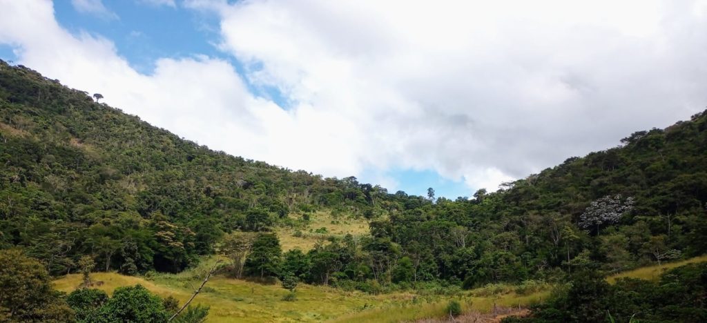 Fazenda Espirito Santo