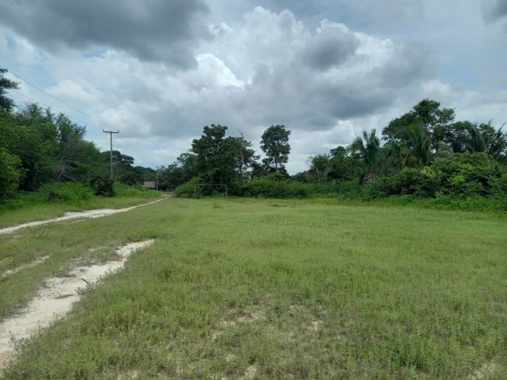 Farm Maranhão