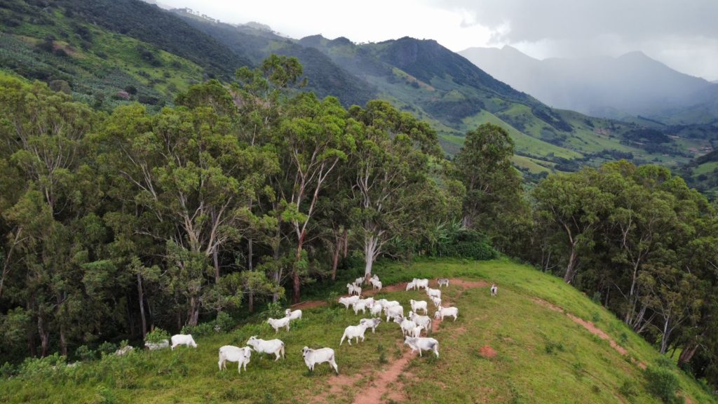 Farm Serra da Mantiqueira