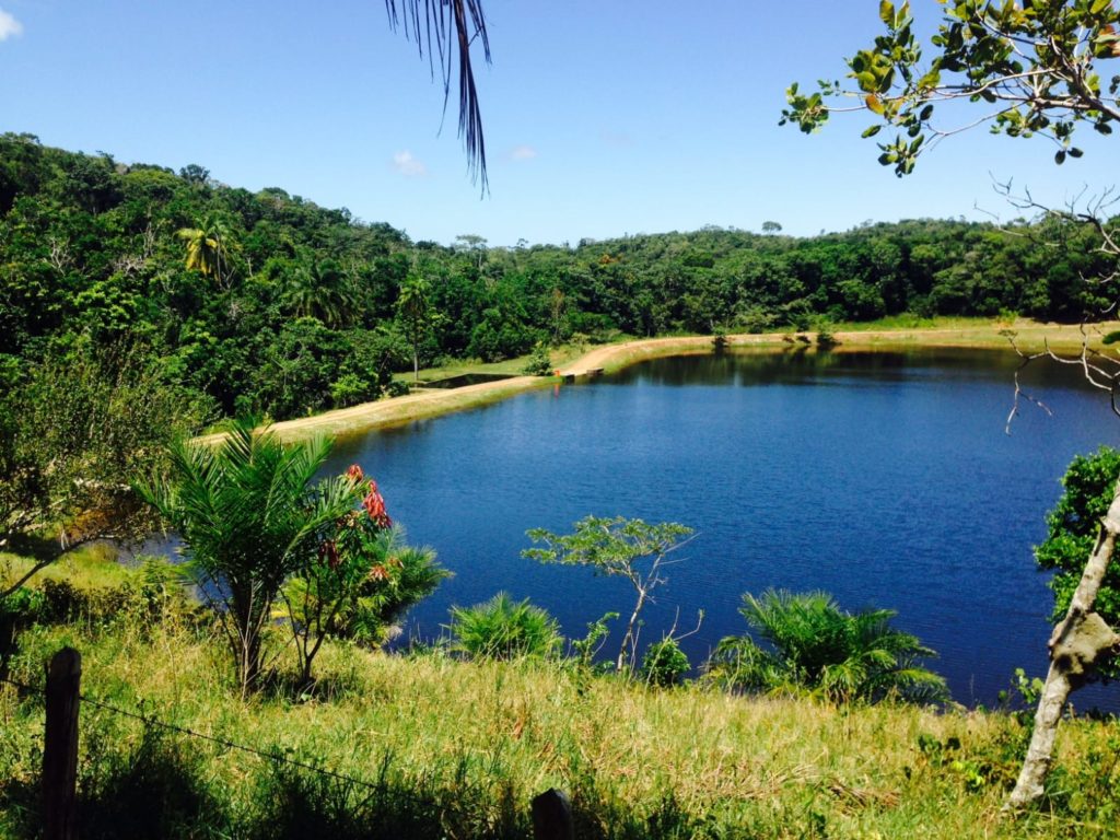 Ecological Farm Bahia