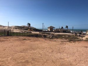 Building Plots Coral