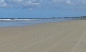 Beach Plot Canavieiras