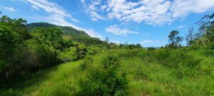 Stunning Landplot Imaruí