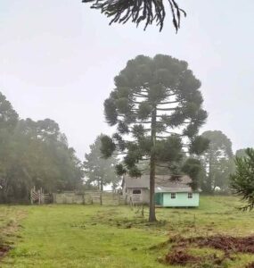 Rural Property Rio Grande do Sul