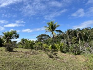 Private Valley Itacaré