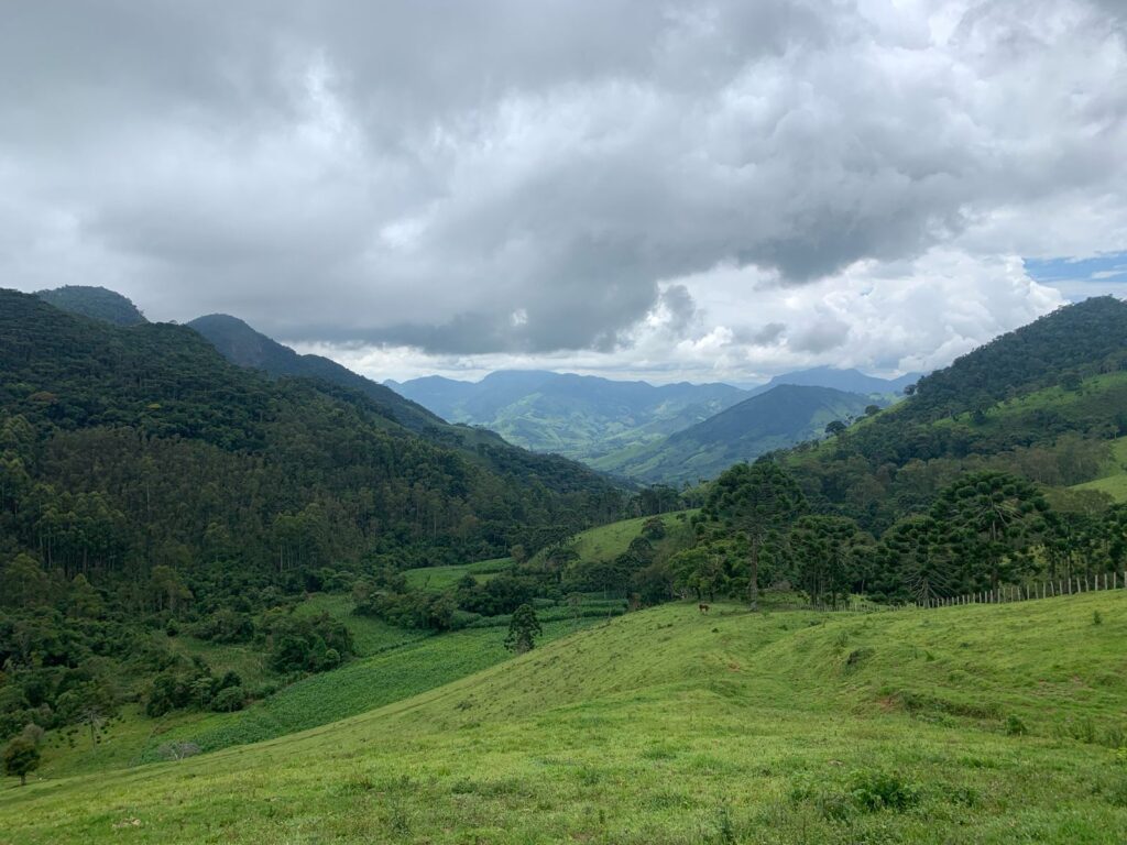 Farm Brazópolis Minas Gerais
