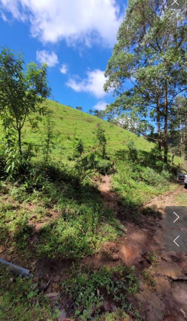 Rural Estate Minas Gerais