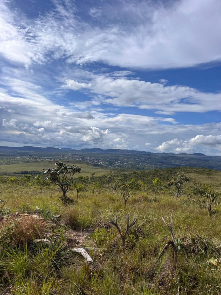 Farms Chapada dos Veadeiros