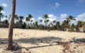 Oceanfront Land in Itarema, Ilha do Guajiru, with 5330 m² area