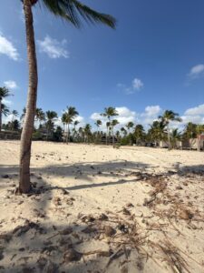 Oceanfront Land Itarema Ceará