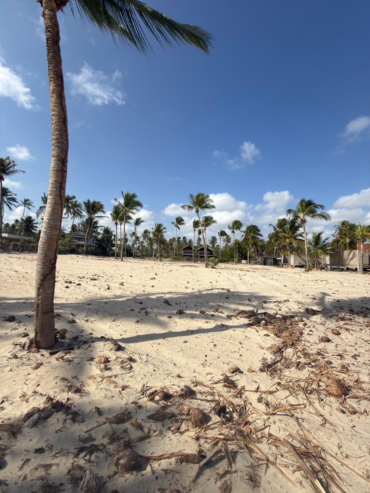 Oceanfront Land in Itarema, Ilha do Guajiru, with 5330 m² area